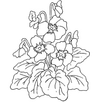 Een kleurplaat van  bloem