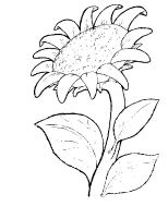 Een kleurplaat van  bloem