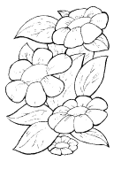 Een kleurplaat van  bloem