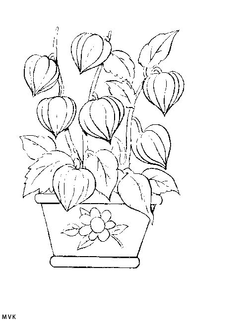 bloem010