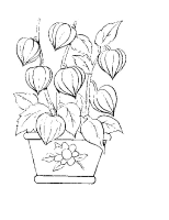 Een kleurplaat van  bloem
