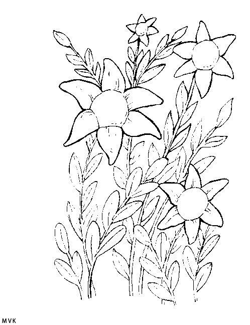 bloem013