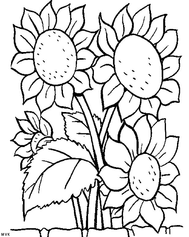 bloem015