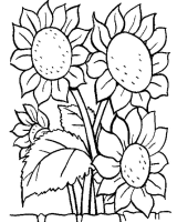 Een kleurplaat van  bloem