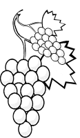 Een kleurplaat van  fruit