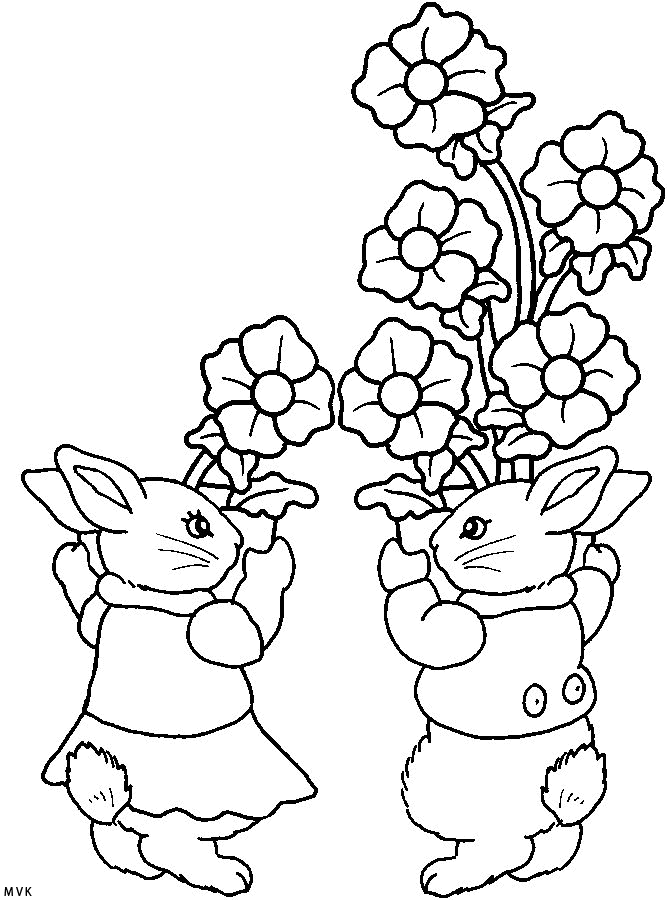 lente006