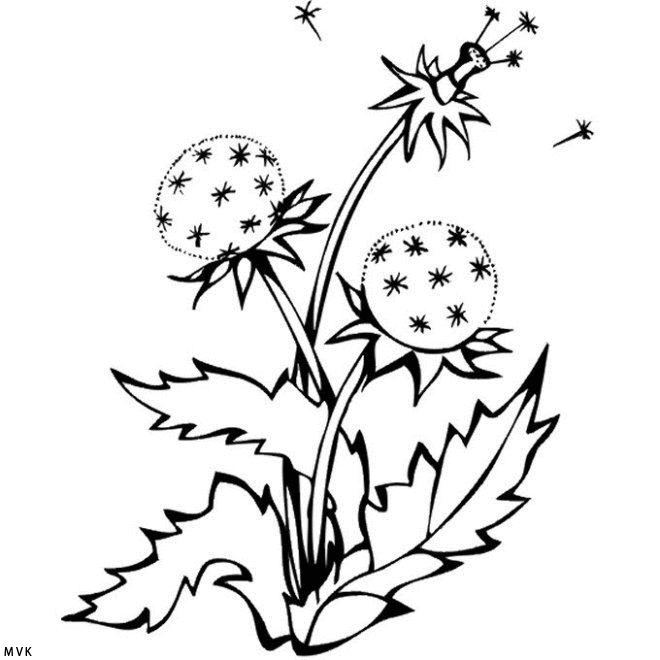 lente015