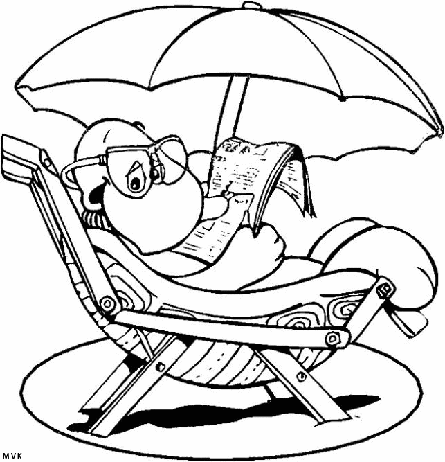 zomer007