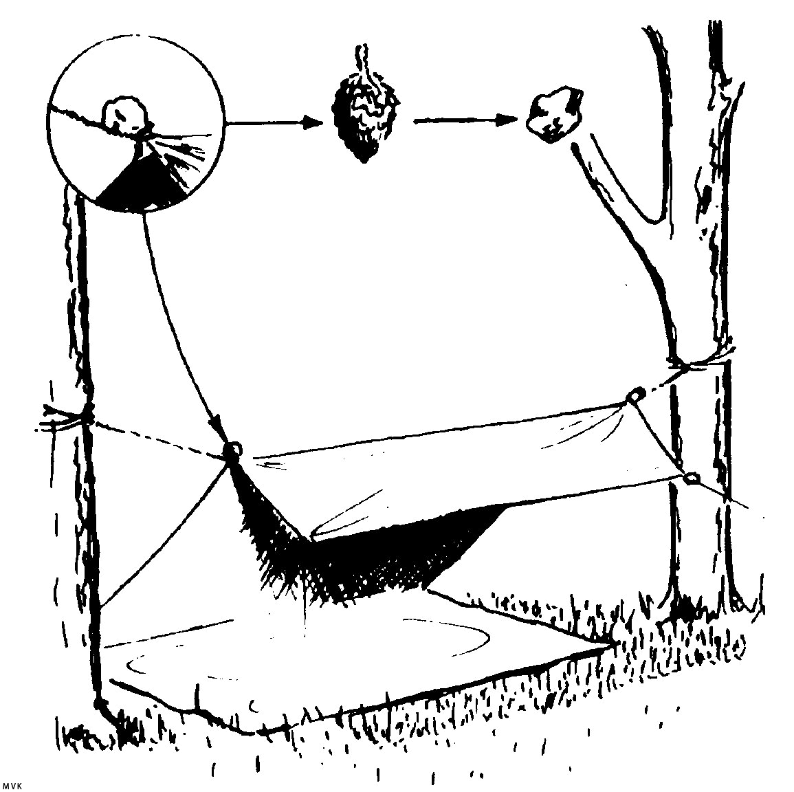 kamperen042