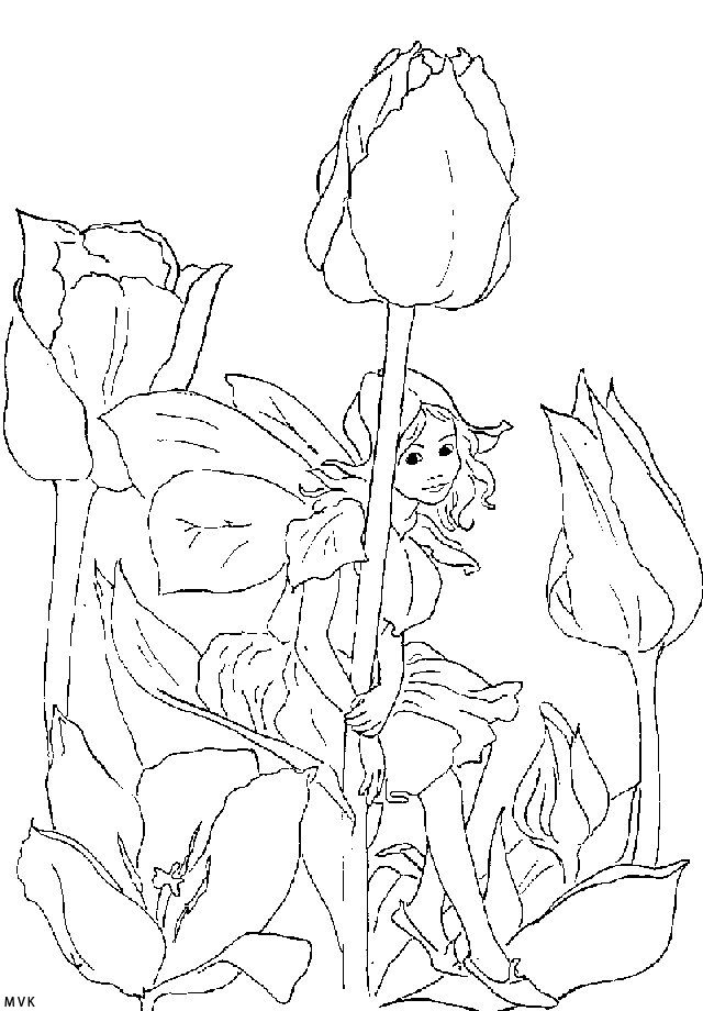 elfjes023