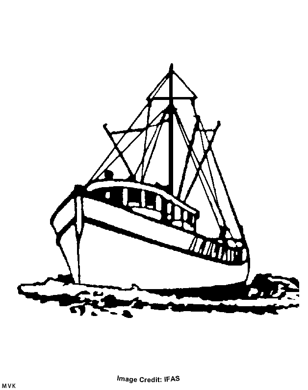 boot009