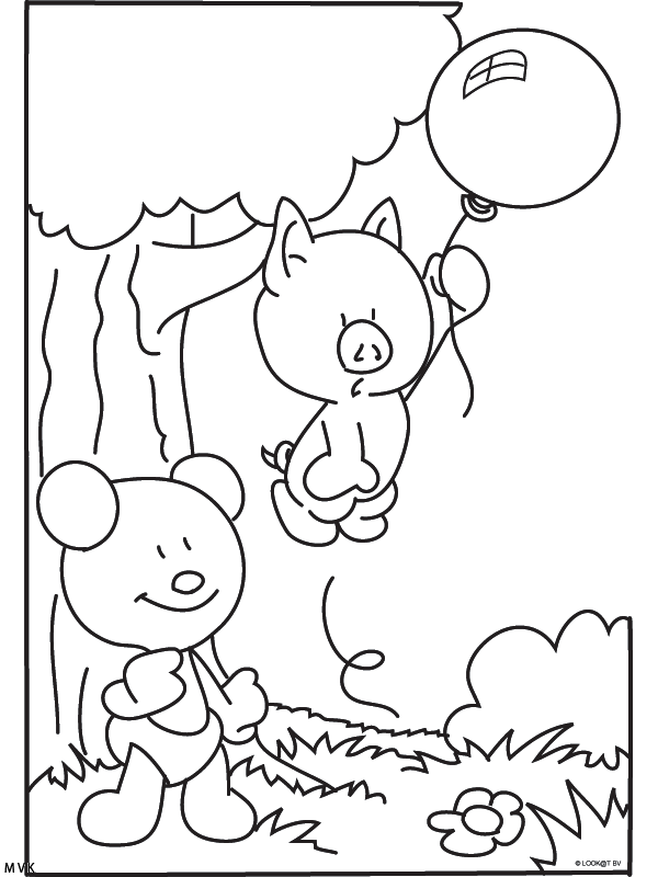 luchtballon001